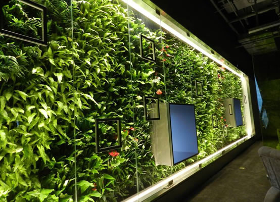 酒店裝修綠色植物規劃注意事項